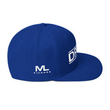 Driven Snapback Hat